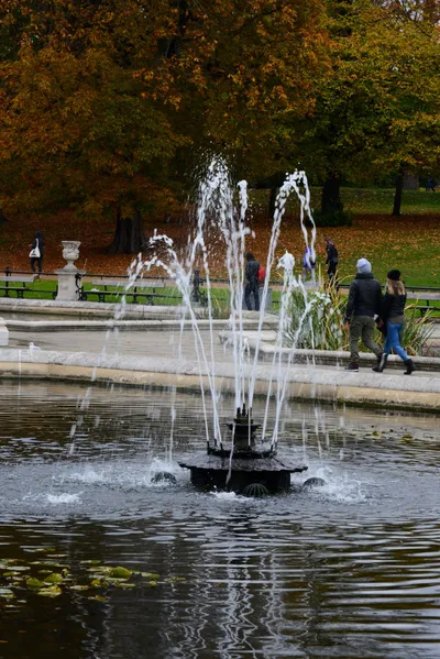 DSC_0539 (Large).JPG